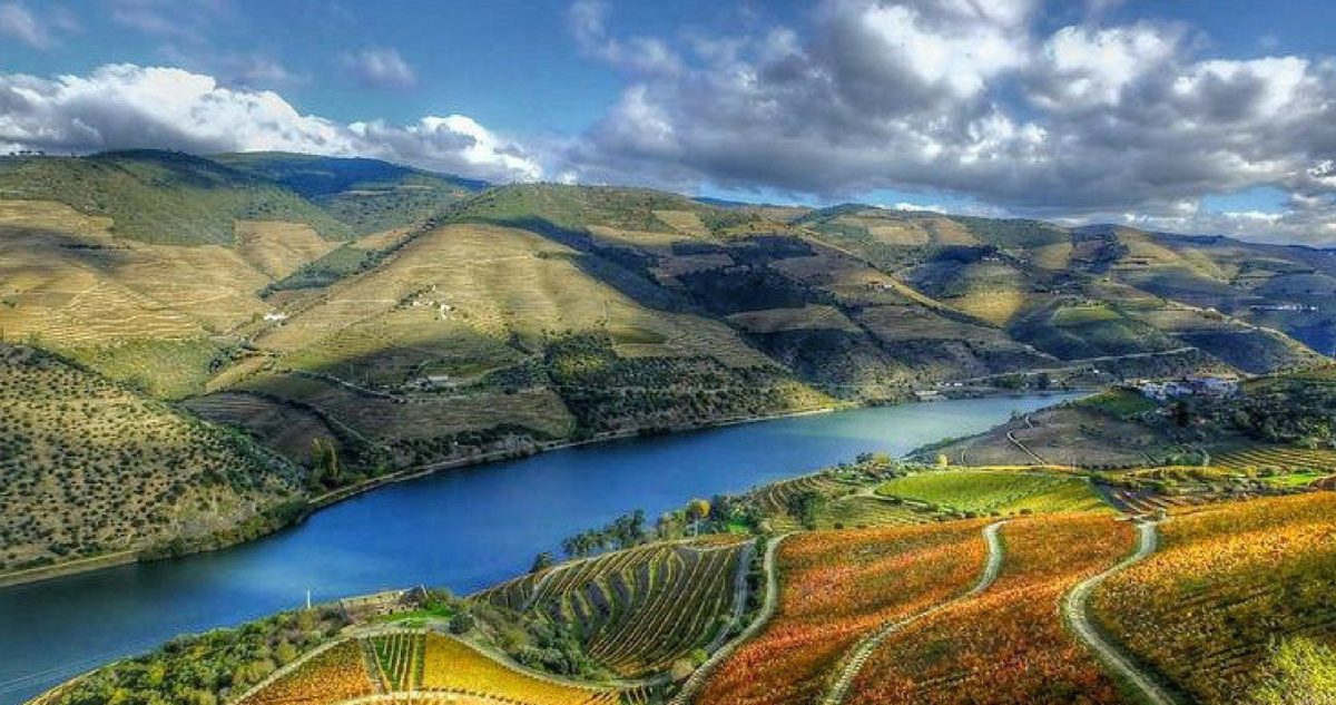 Terraced vineyards above the Douro River